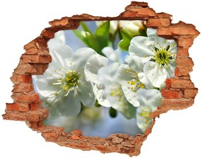 Fototapeta diera na stenu Čerešňový kvet nd-c-82566454