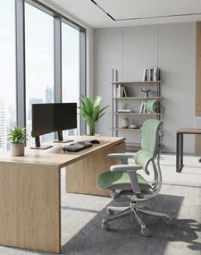 Kancelárske kreslo Ergohuman 2 Elite GS ST green