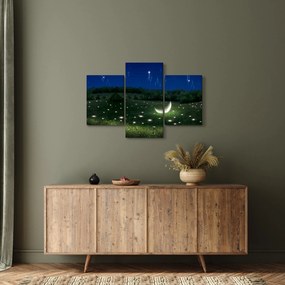 Obraz - Padajúce nebo (90x60 cm)