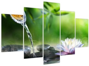 Obraz - Lotus (150x105 cm)