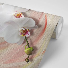 Tapeta krása bielej orchidey na plátne