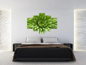 Obraz - Makro snímka rastliny (150x105 cm)