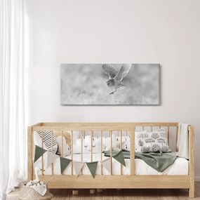 Obraz - Sova, čiernobiela (120x50 cm)