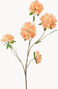 Rastlinná dekorácia Rhododendron