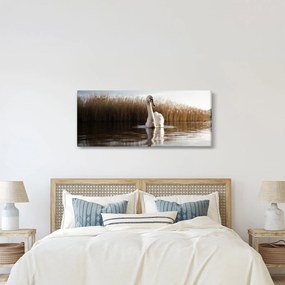 Obraz labute (120x50 cm)
