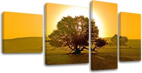 Obraz na stenu STROMY