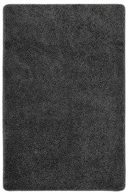 Chlpatý koberec tmavosivý 200x290 cm protišmykový