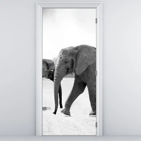 Fototapeta na dvere - Čiernobiele slony (95x205cm)