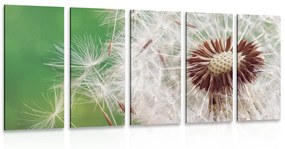 5-dielny obraz semienka púpavy Varianta: 100x50