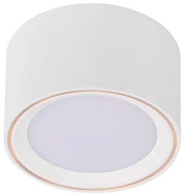 Nordlux - LED Stmievateľné bodové svietidlo FALLON LED/5,5W/230V biela