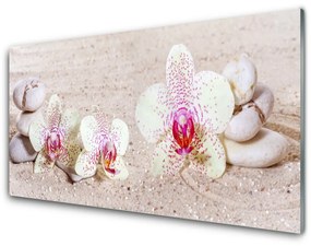 Skleneny obraz Orchidea kamene zen písek 120x60 cm