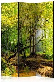 Paraván - Forest Clearing [Room Dividers] Veľkosť: 135x172, Verzia: Akustický
