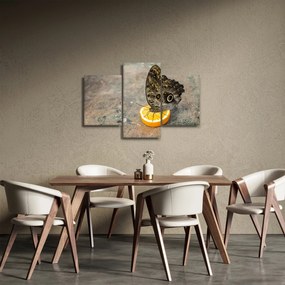 Obraz motýľa (90x60 cm)