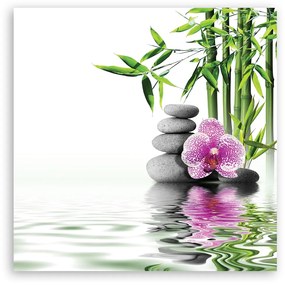 Obraz na plátně, Vodní zahrada Zen - 50x50 cm