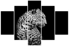 Obraz - Leopard (150x105 cm)