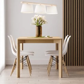 Luster na lane AIDA 3xE27/60W/230V