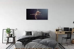 Obraz canvas Tanec rúrka žena 140x70 cm