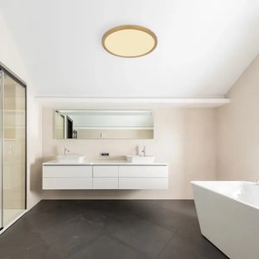 Globo 41562-24MM -LED Stm. kúpeľ. strop. svietidlo SAPANA LED/24W/230V IP44