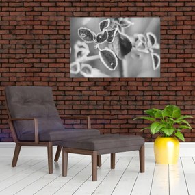 Obraz - Príroda na jeseň (90x60 cm)