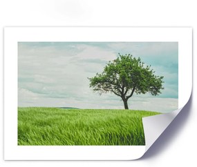 Gario Plagát Strom v poli Farba rámu: Bez rámu, Veľkosť: 30 x 20 cm