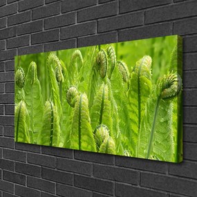 Obraz Canvas Rastlina príroda 120x60 cm