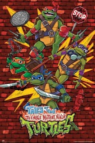 Plagát, Obraz - Tales of the Teenage Mutant Ninja Turtles