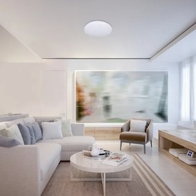 Rabalux 71035 - LED RGB Stmievateľné stropné svietidlo CERRIGEN LED/24W/230V