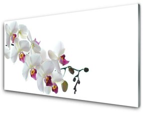 Obraz na skle Kvety rastlina príroda 125x50 cm