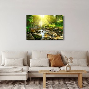 Obraz rieky v zelenom lese (90x60 cm)