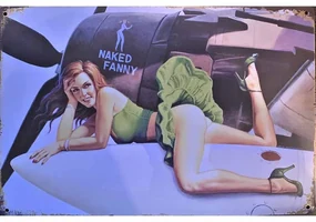 Ceduľa Naked Fanny