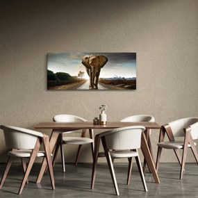 Obraz slona (120x50 cm)