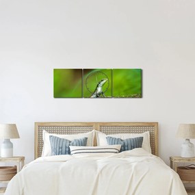 Obraz jašteričky (s hodinami) (90x30 cm)