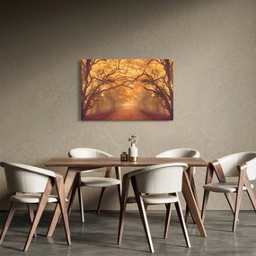 Obraz cesty v jesennej krajine (90x60 cm)