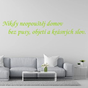 Veselá Stena Samolepka na stenu na stenu Nikdy neopúšťaj domov bez pusy, objatia a krásnych slov Farba: černá