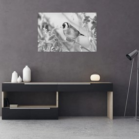 Obraz - Vtáčik v zime (90x60 cm)