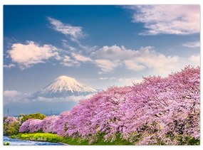 Sklenený obraz - Japonská jarná krajina (70x50 cm)