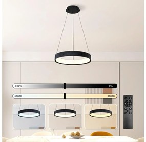Brilagi - LED stmievateľný luster na lanku FALCON MODERN LED/30W/230V 40 cm čierny + diaľkové ovládanie