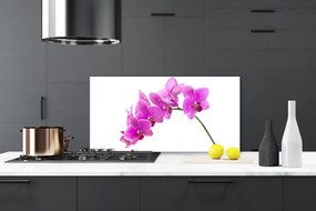 Sklenený obklad Do kuchyne Vstavač kvet orchidea 140x70 cm
