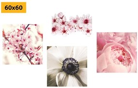 Set obrazov jemnosť kvetov - 4x 60x60