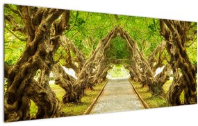 Obraz - Živý tunel z plumérií (120x50 cm)