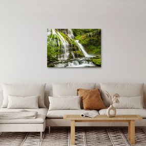 Obraz - Vodopád, Wind River Valley (70x50 cm)
