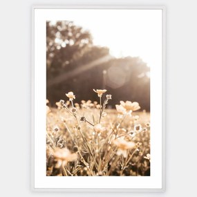 Boho plagát s fotografiou lúčnych kvetov pri západe slnka
