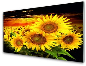 Obraz plexi Slnečnica kvet rastlina 140x70 cm