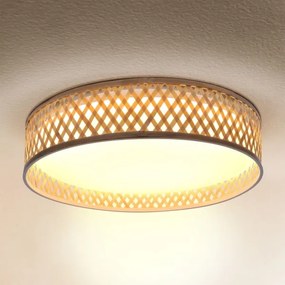 Brilagi - LED Stmievateľné stropné svietidlo CAMILA LED/48W/230V 3000-6500K + DO
