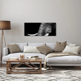 Obraz - Slonie kly (120x50 cm)
