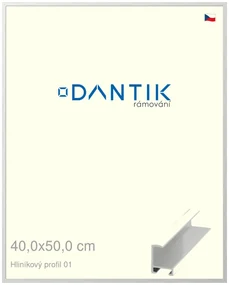 DANTIK rám na obraz 40x50 | ALU Stříbrná lesklá (Sklo Čiré)