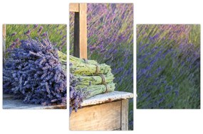 Obraz - Levanduľové zväzky (90x60 cm)