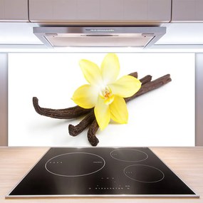Sklenený obklad Do kuchyne Vanilka rastlina príroda 125x50 cm