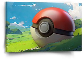 Sablio Obraz Pokemon ball Krajina - 60x40 cm