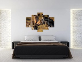 Obraz - Dve zebry (150x105 cm)